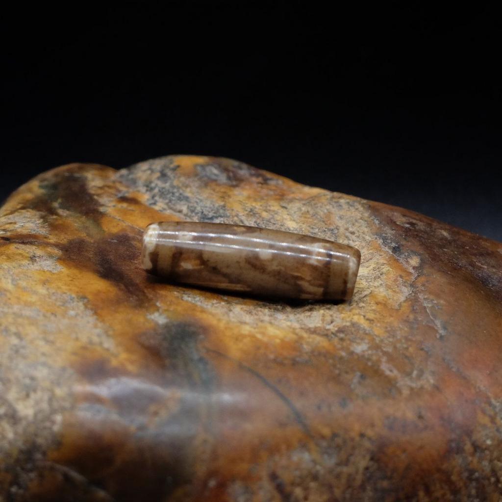 Бусина Дзи Зубы Тигра N°43