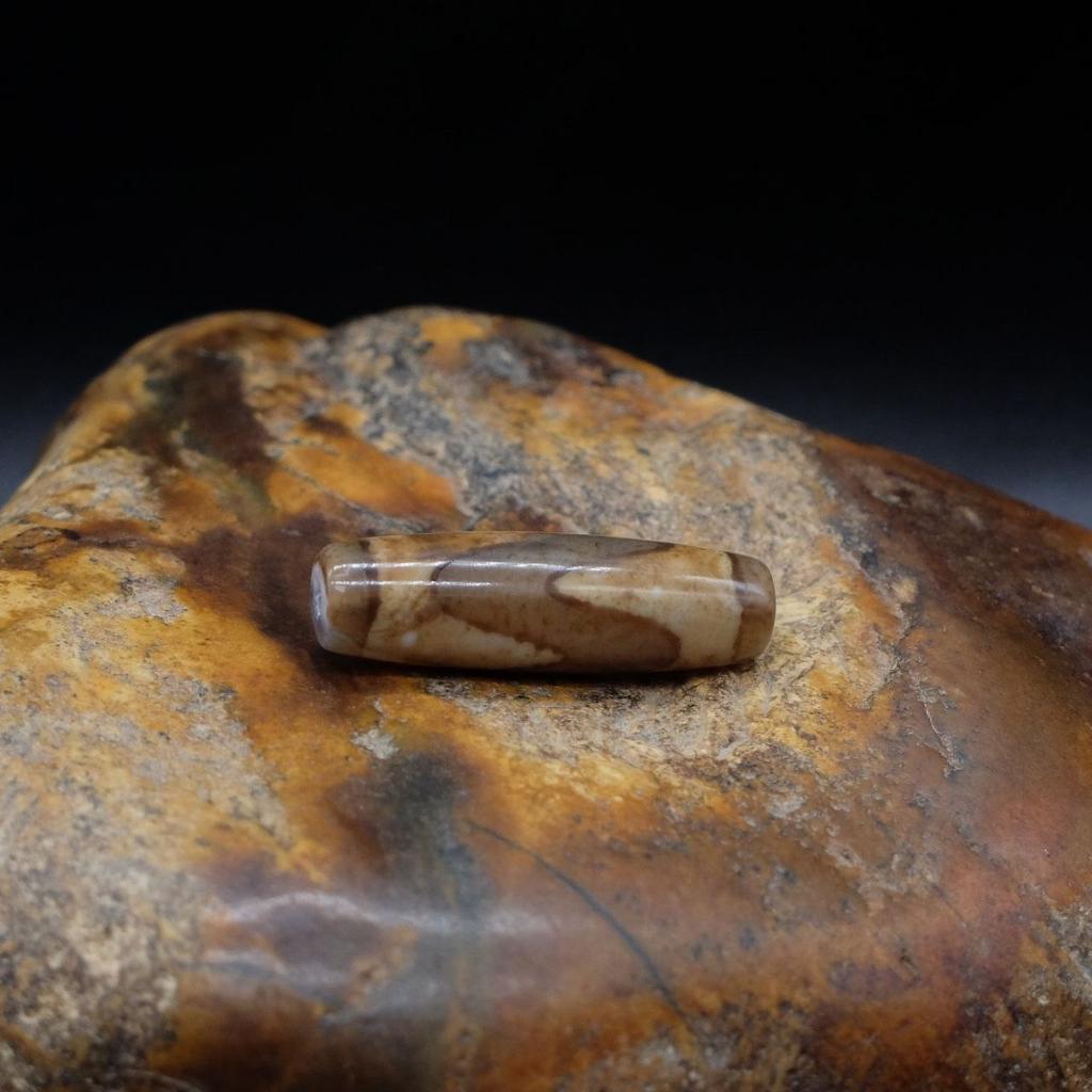 Бусина Дзи Зубы Тигра N°44