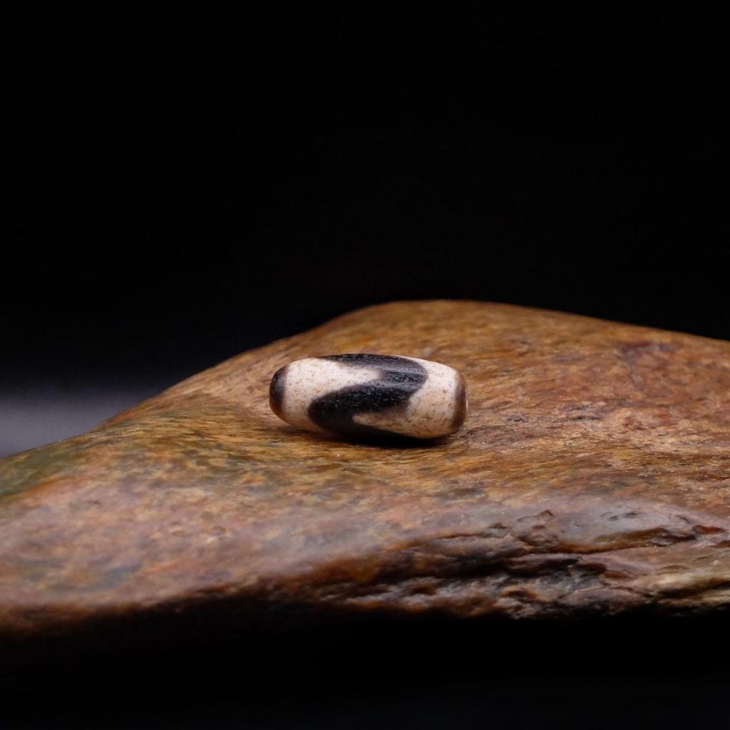 Бусина Дзи Зубы Тигра N°51