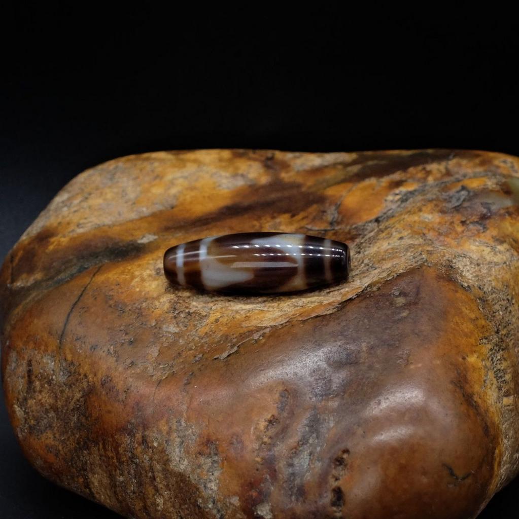 Бусина Дзи Зубы Тигра N°59