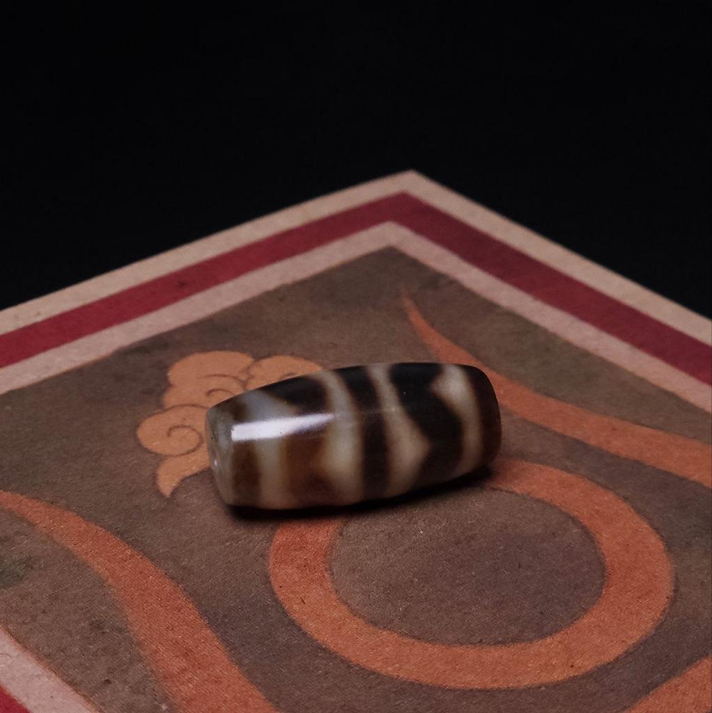 Бусина Дзи Зубы Тигра N°71