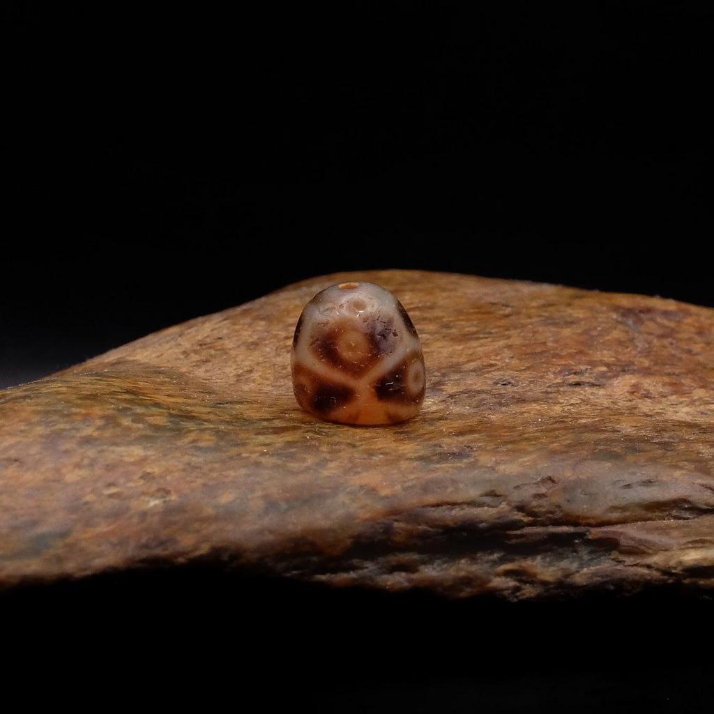 Бусина Дзи 6 глаз в черепахе (половинка)
