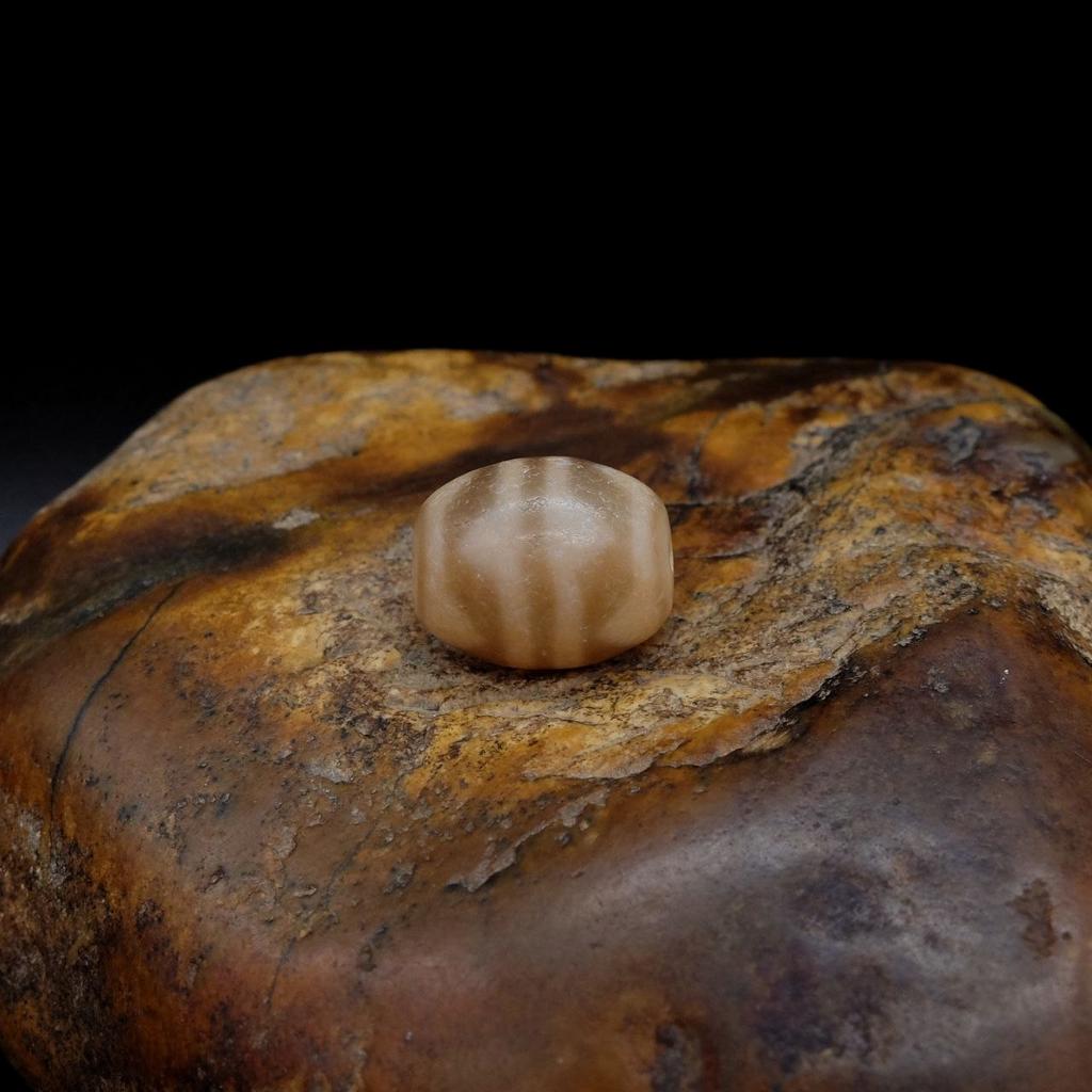 Бусина Дзи Двойные Зубы Тигра N°82 original