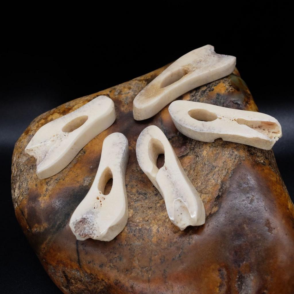 Махака из челюсти медведя