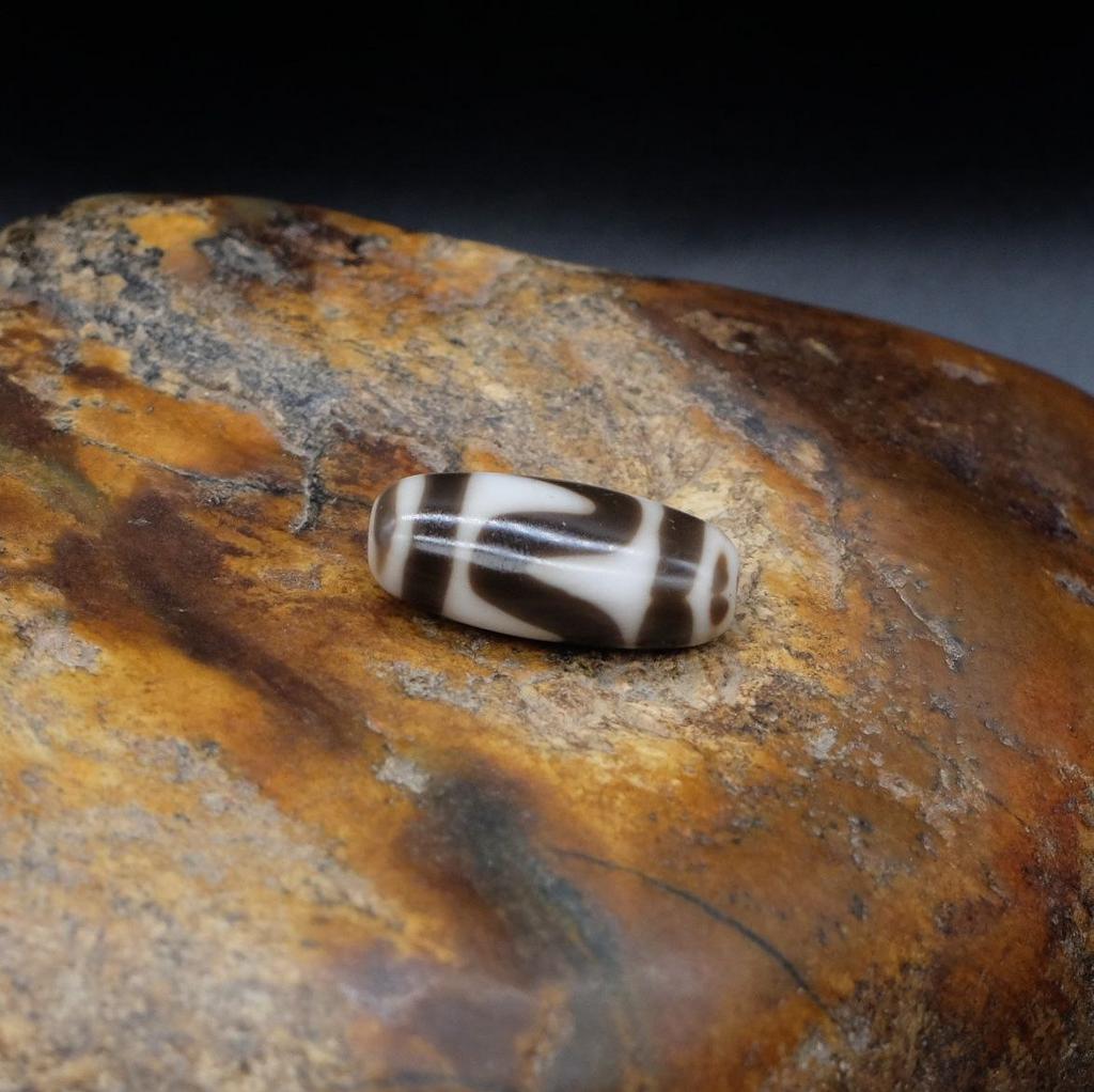 Бусина Дзи Зубы Тигра N°47