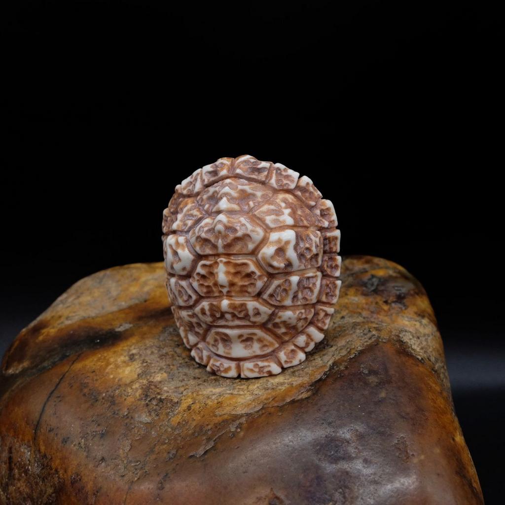 Панцирь черепахи из рога лося