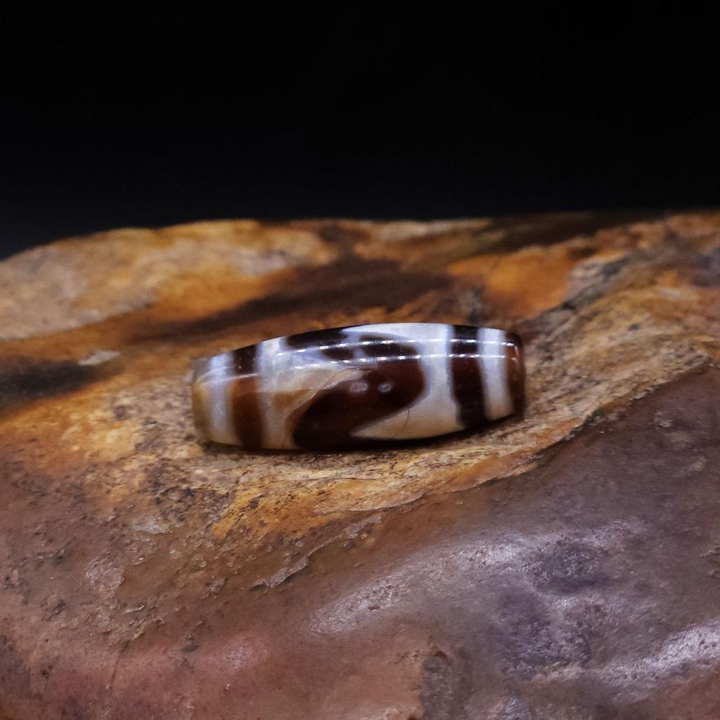 Бусина Дзи Зубы Тигра N°55