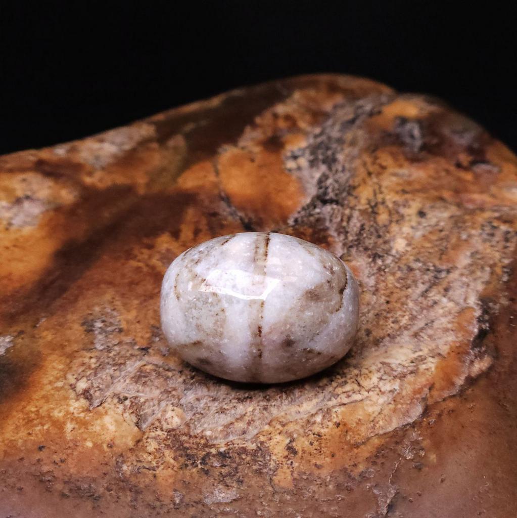 Бусина Дзи Двойные Зубы Тигра N°92