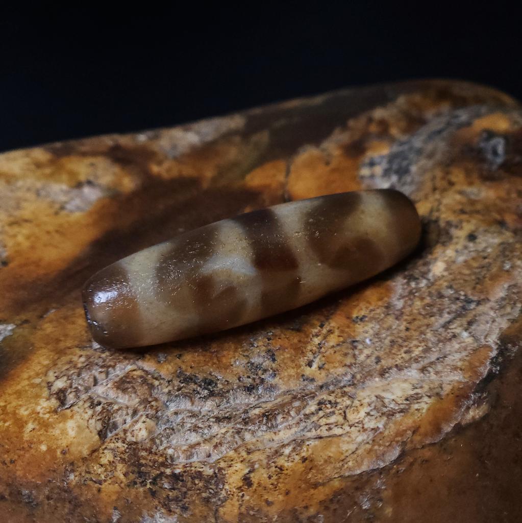 Бусина Дзи Двойные Зубы Тигра N°93