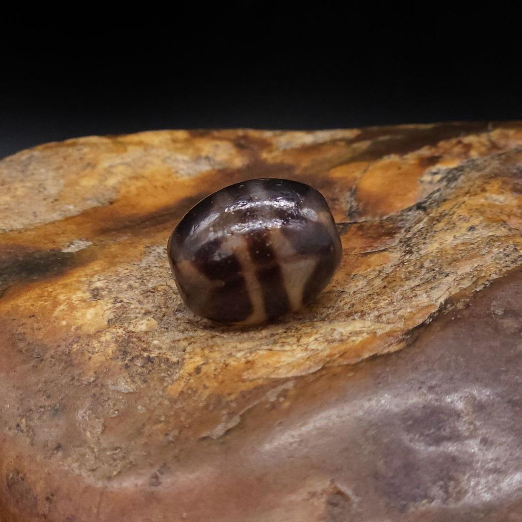 Бусина Дзи Двойные Зубы Тигра N°97