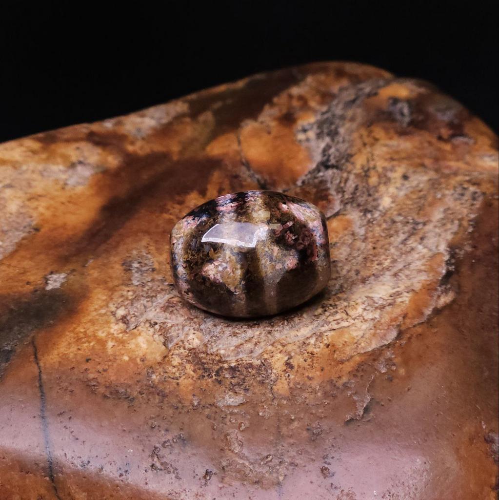 Бусина Дзи Двойные Зубы Тигра N°98