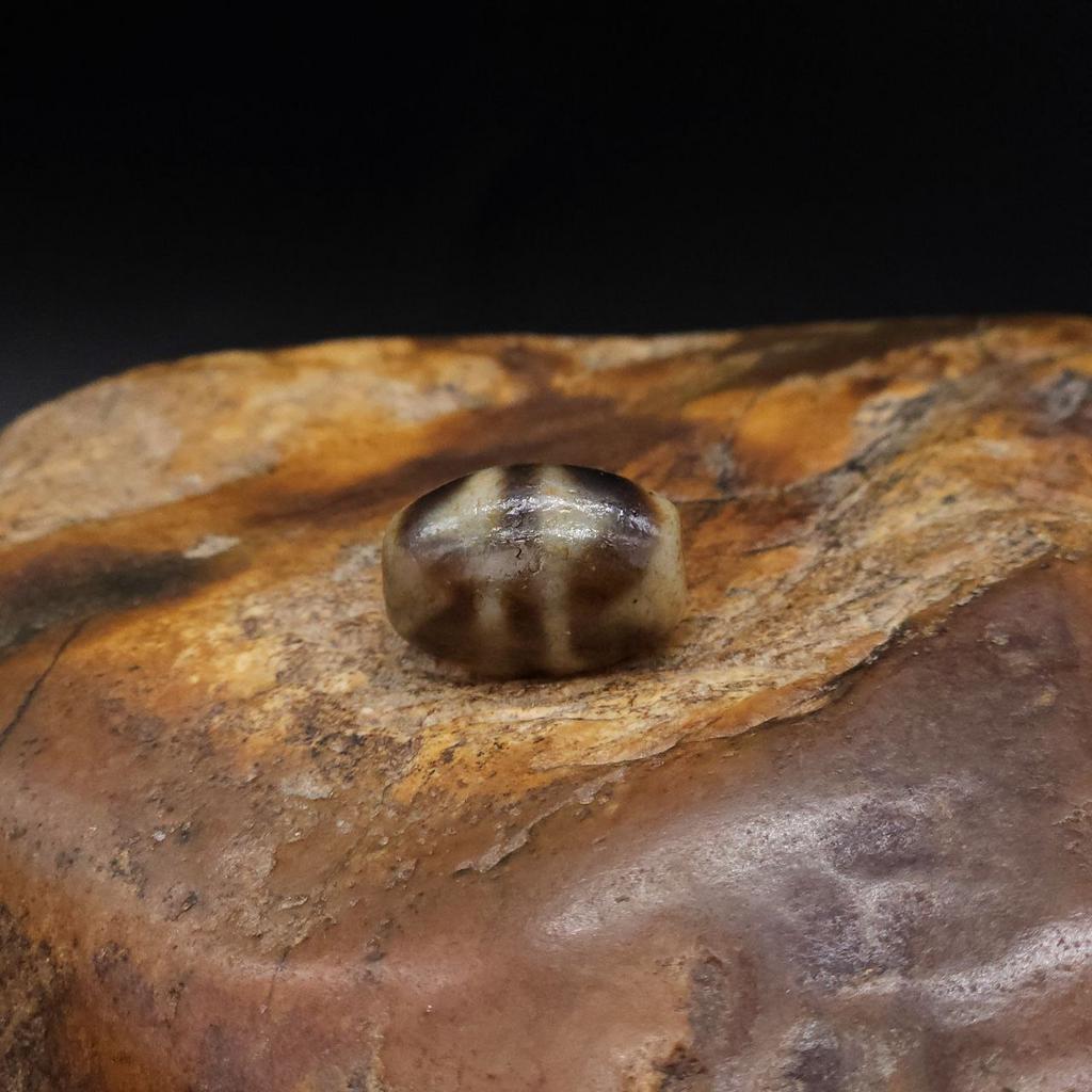 Бусина Дзи Двойные Зубы Тигра N°98