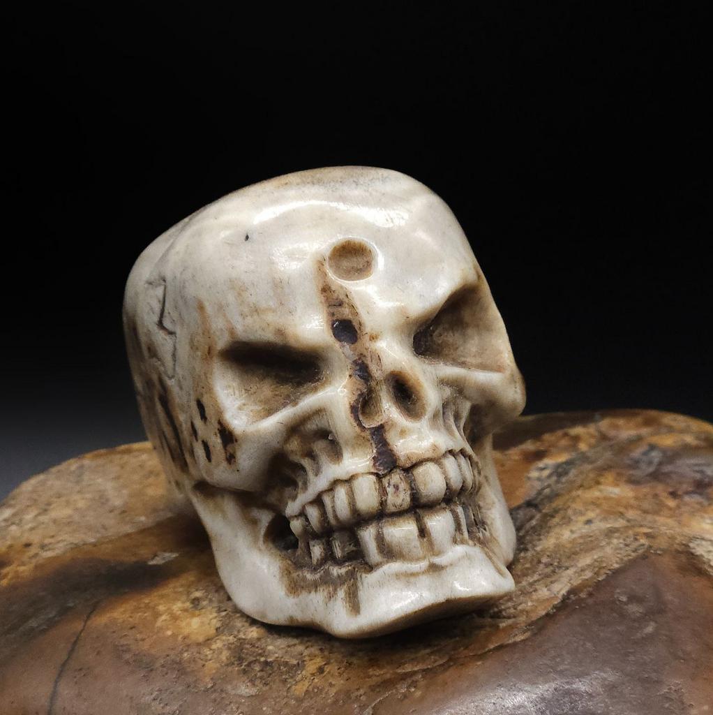 Череп из рога лося N°1