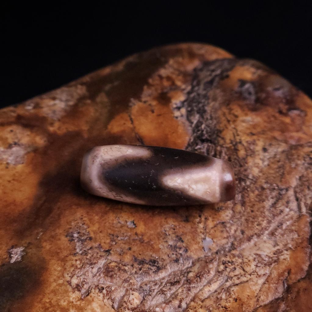 Бусина Дзи Зубы Тигра N°105