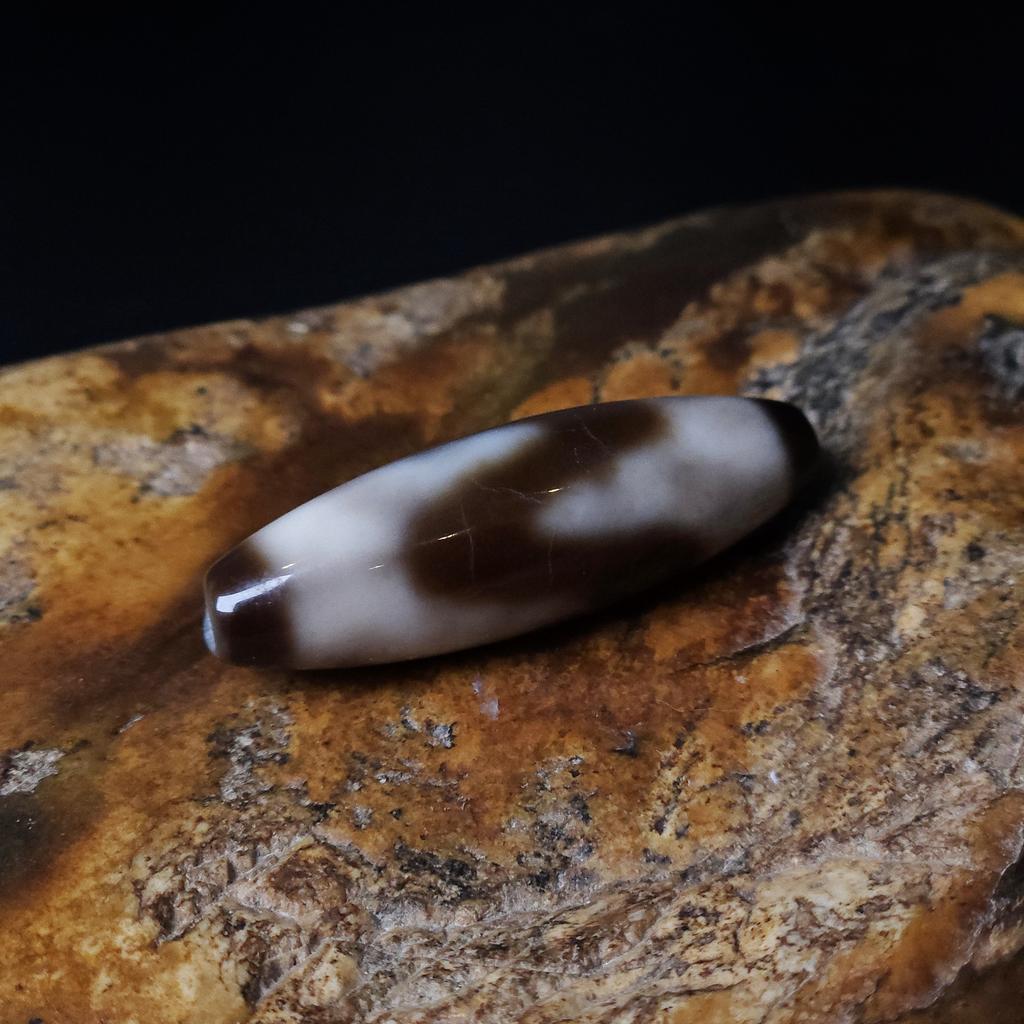 Бусина Дзи Зубы Тигра N°106