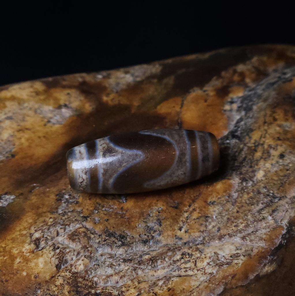 Бусина Дзи Зубы Тигра N°107