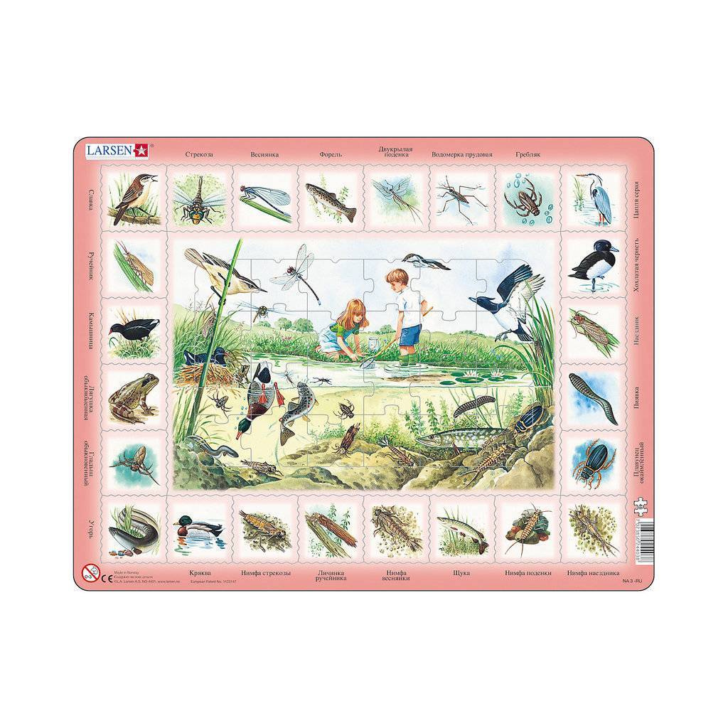 Пазл Larsen Пруд, 48 деталей