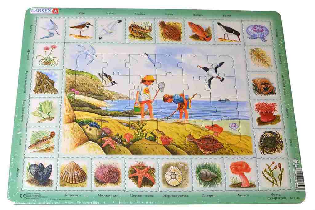 Пазл larsen Побережье