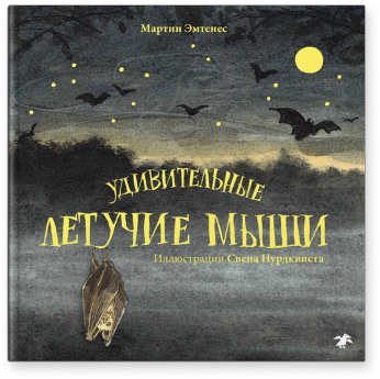 Удивительные летучие мыши