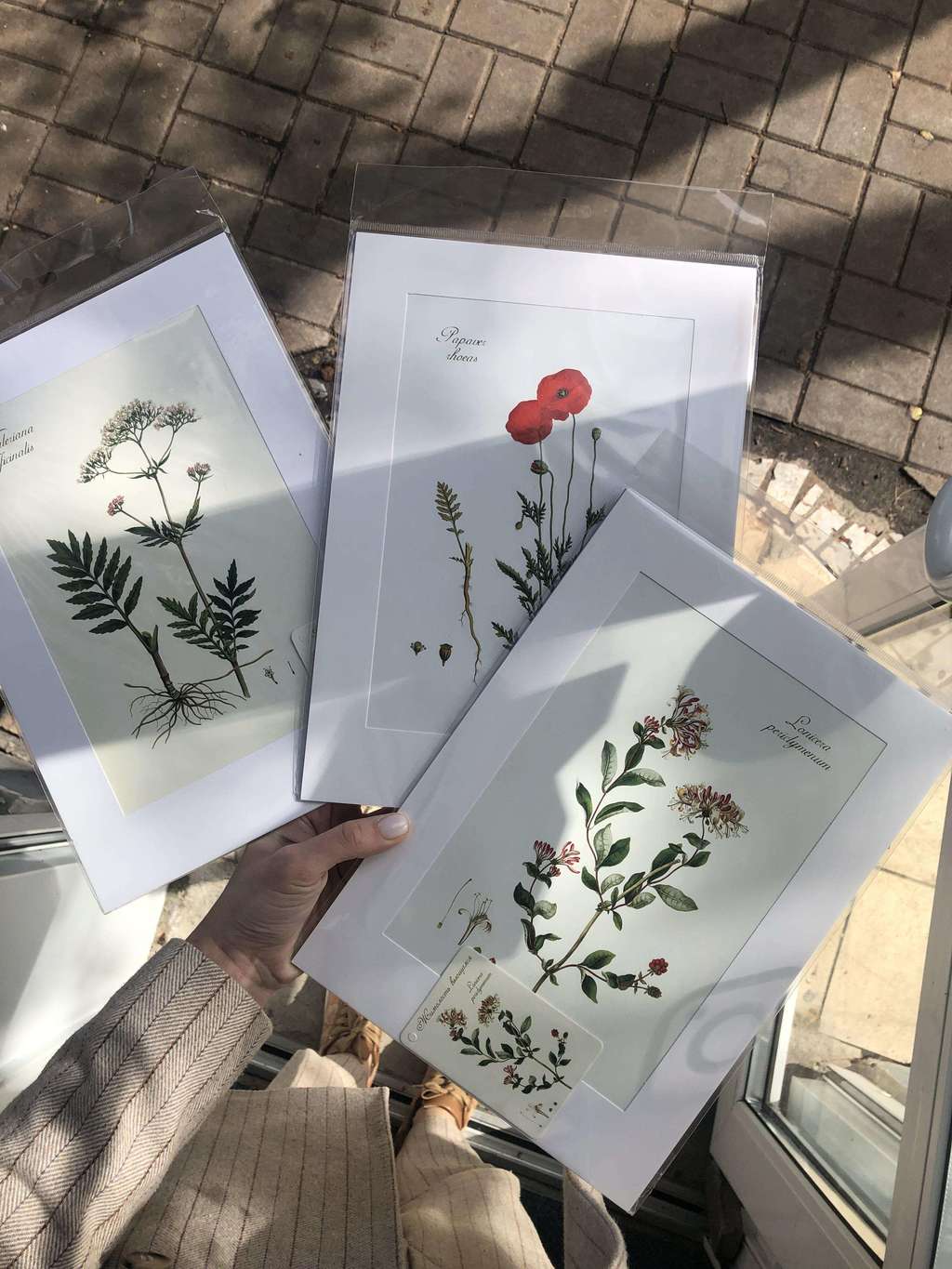 Постер A4 в ассортименте