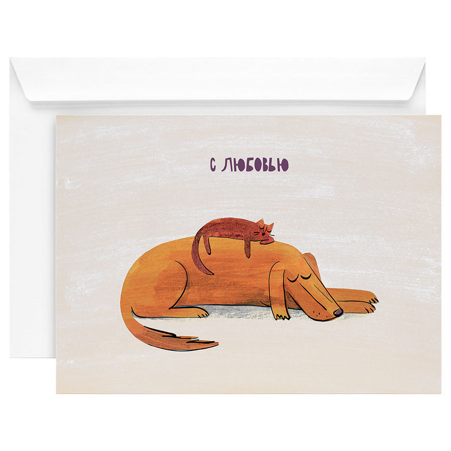 Открытка "Кот и пес"