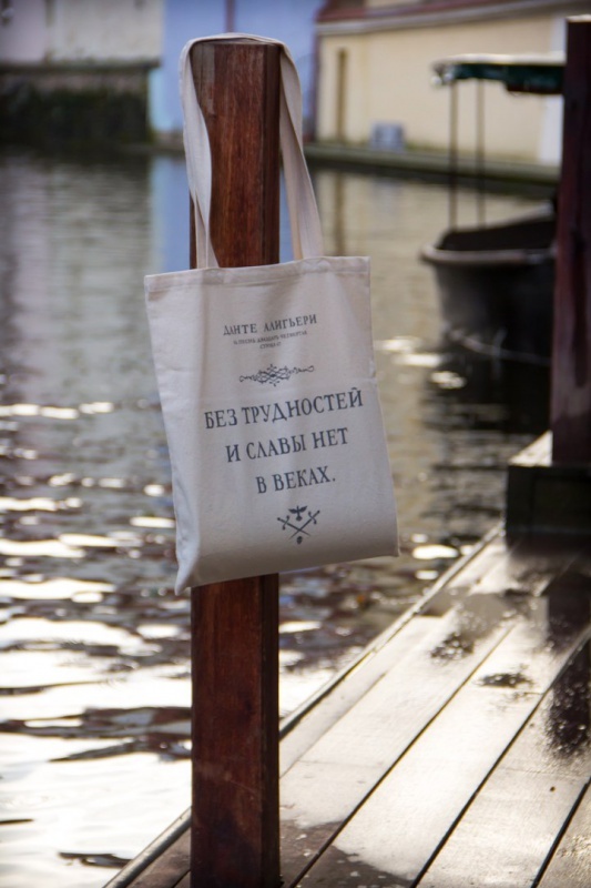 Сумка Без трудностей (Данте А.)