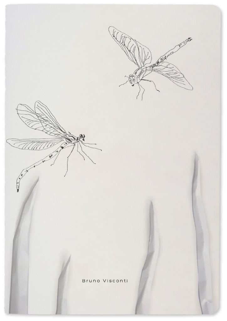 Тетрадь общая А5,40л,кл,скрепка Bruno Visconti Стрекозы