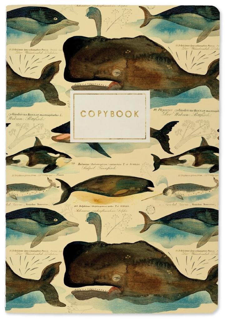 Тетрадь BrunoVisconti, А5, "киты" 40 л, клетка