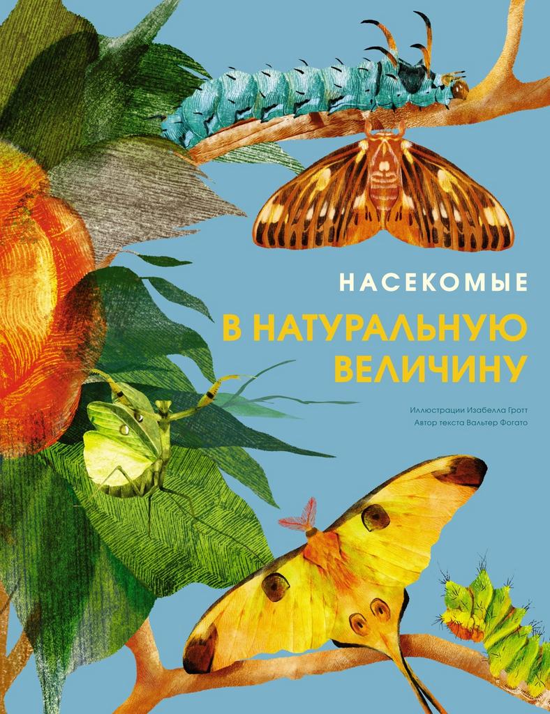 Насекомые в натуральную величину/ Вальтер Фогато