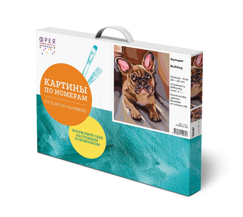 Набор для раскрашивания по номерам 40 х 30 см "Бульдог"