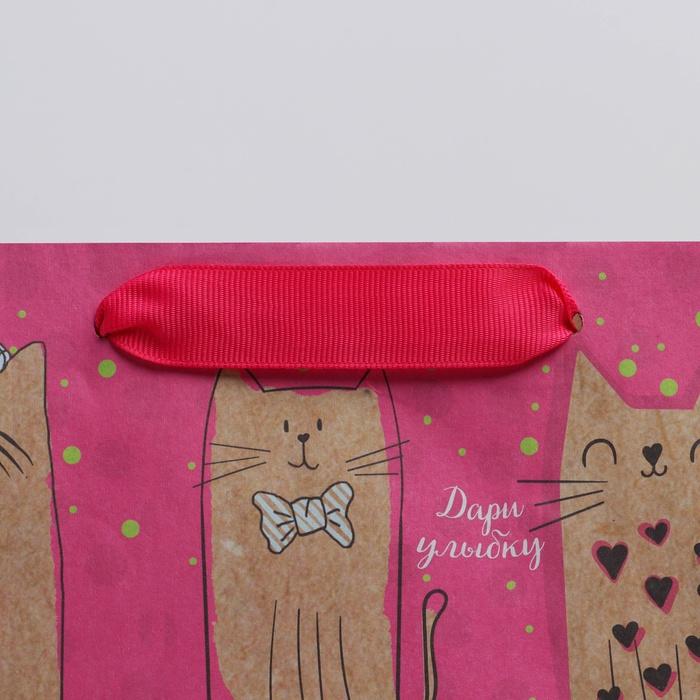 Пакет подарочный крафтовый «Милые котики», 23 х 27 х 8 см