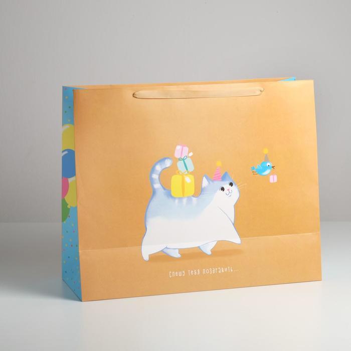 Пакет подарочный «С Праздником!»,49 х 40 х 19 см