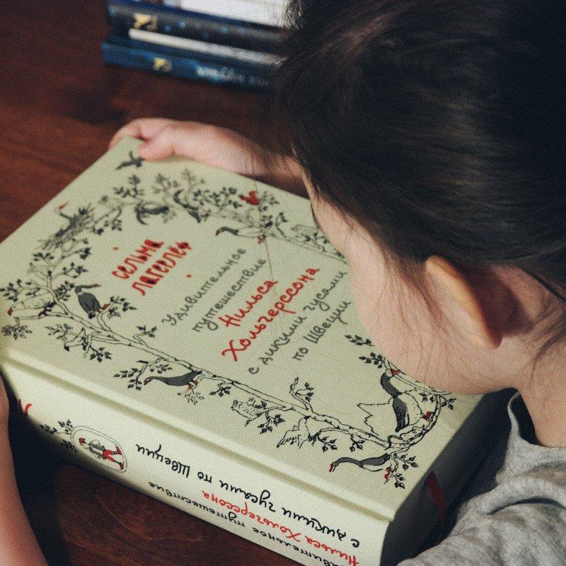 Удивительное путешествие Нильса Хольгерссона с дикими гусями по Швеции