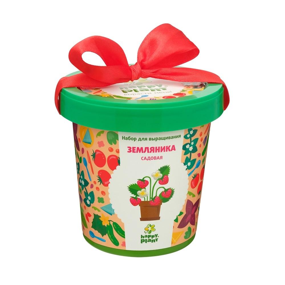 Горшок Земляника садовая
