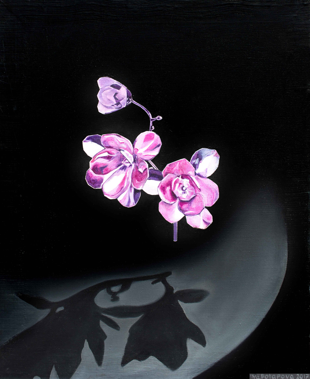 Modern painting flower "Without roots" conceptual, oil on canvas 50x40 cm