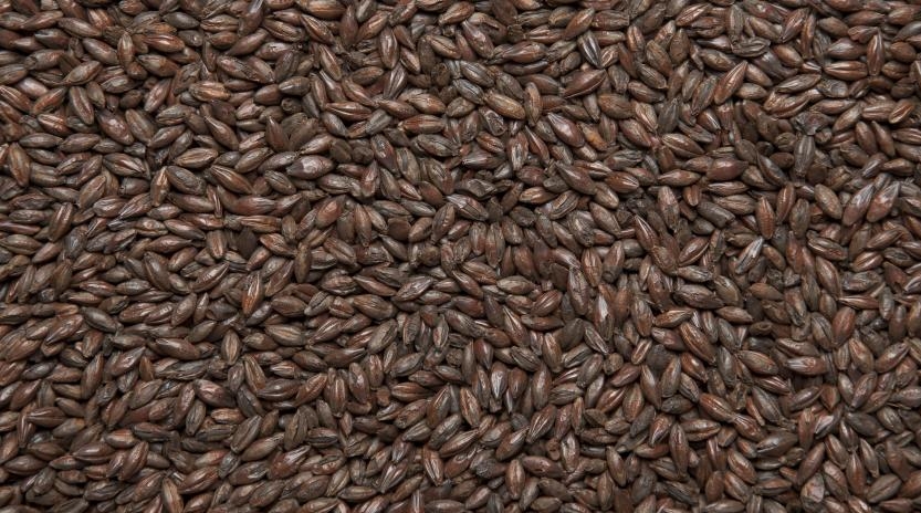 Солод Жженый 1400, 1кг (Курск)