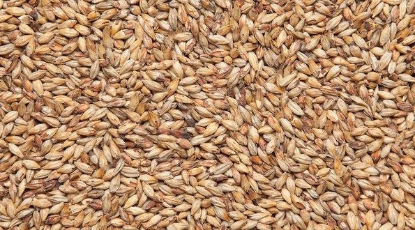 Солод Меланоидиновый, 1кг (Курск)