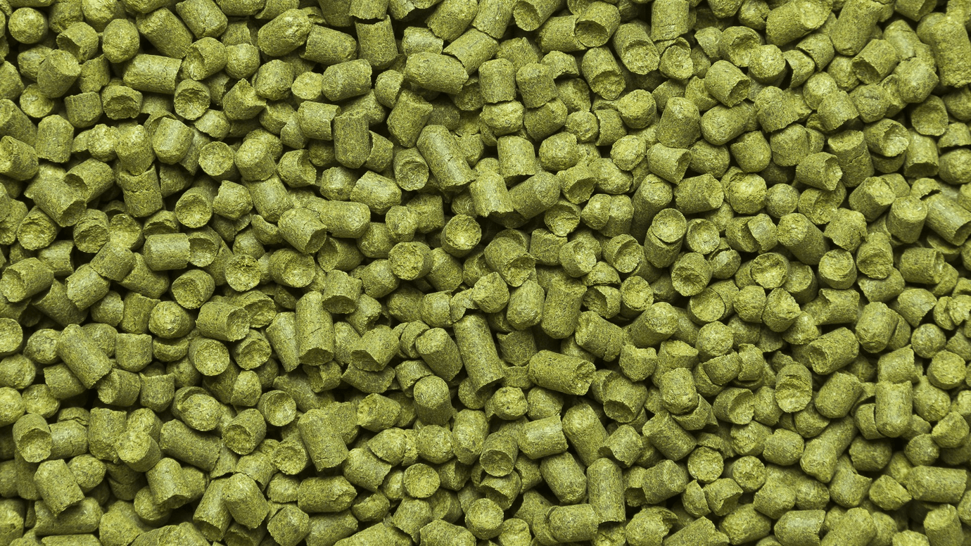 Хмель Ист кент голдинс (East Kent Goldins) (США), 50г