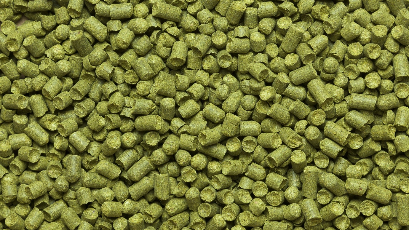 Хмель Тетнангер (Tettnanger) (Германия), 50г