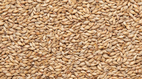 Солод Пилснер 1кг, (Курск)