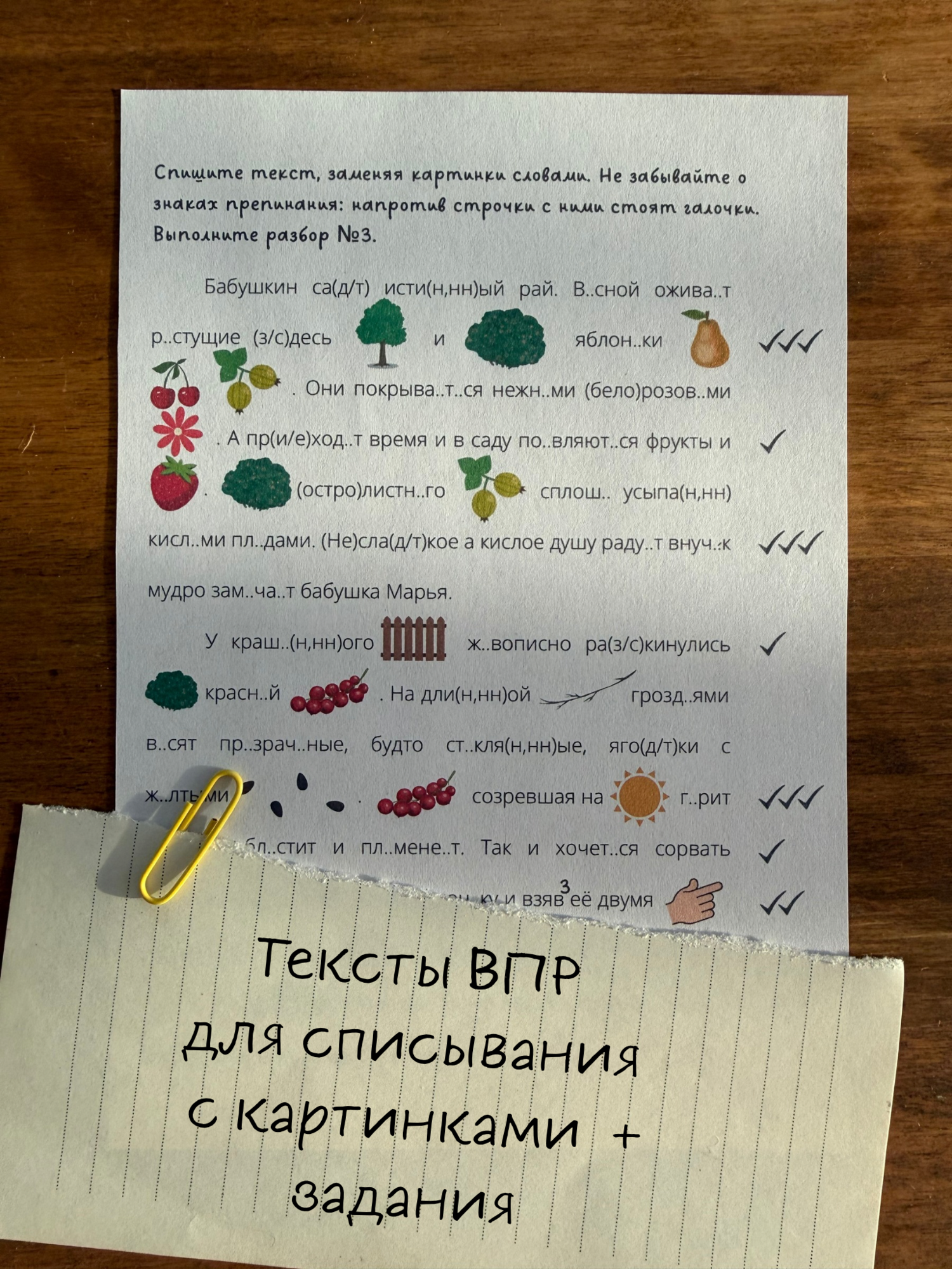 Тексты ВПР с картинками