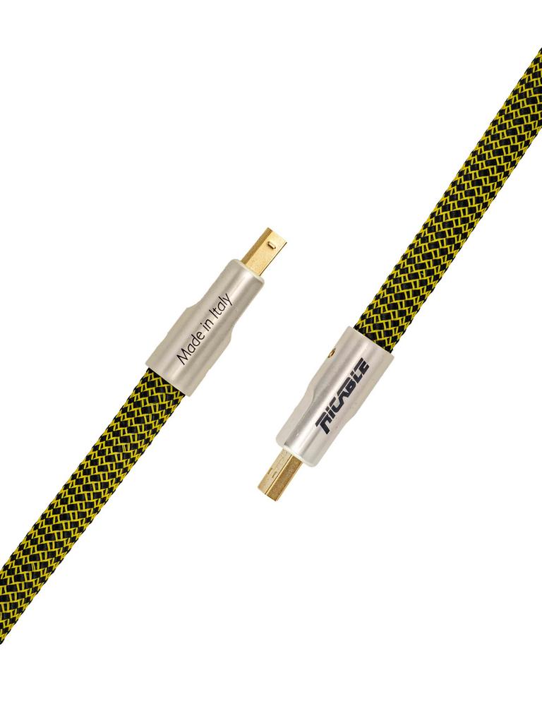Кабель USB 2.0 A/B Ricable Dedalus USB 1 m