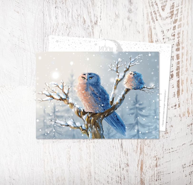 «Совушки и снежинки»