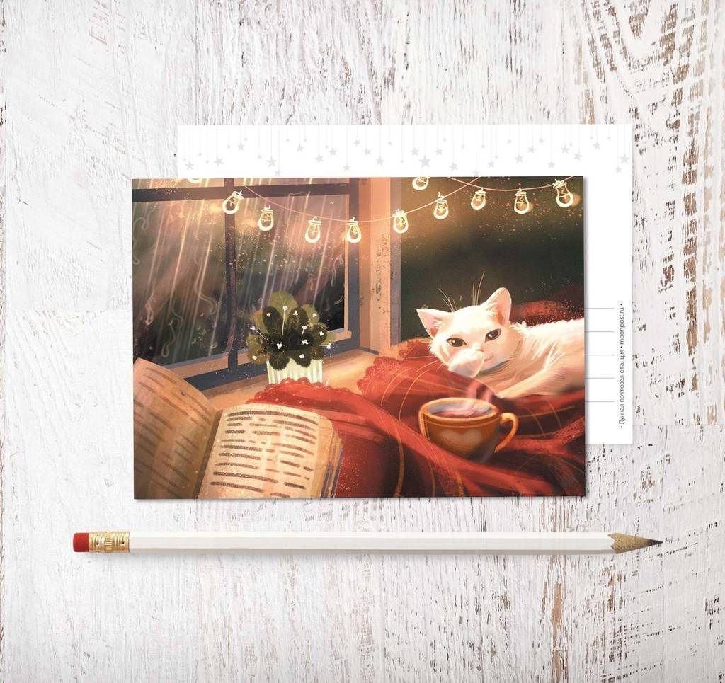 «Тёплый вечер»