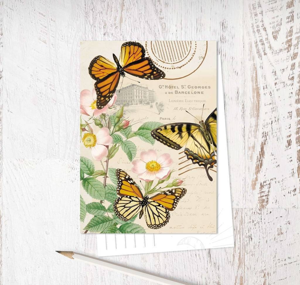 «Butterflies. Orange»