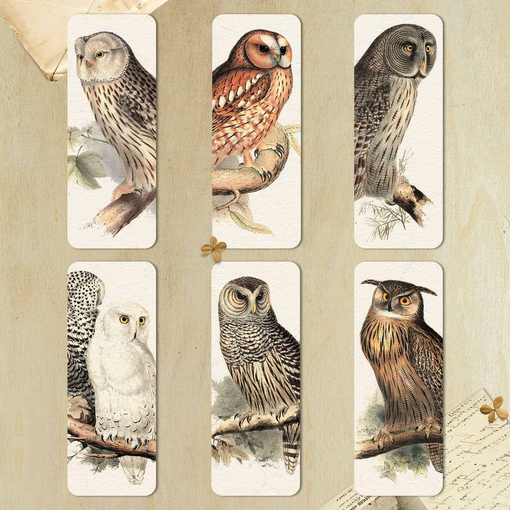 Набор закладок из дизайнерского картона «Owl collection»