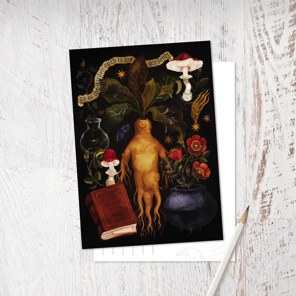 «Мандрагора»