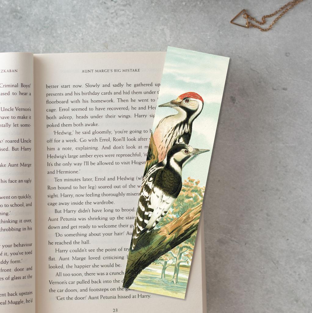 Книжная закладка «Дятел»