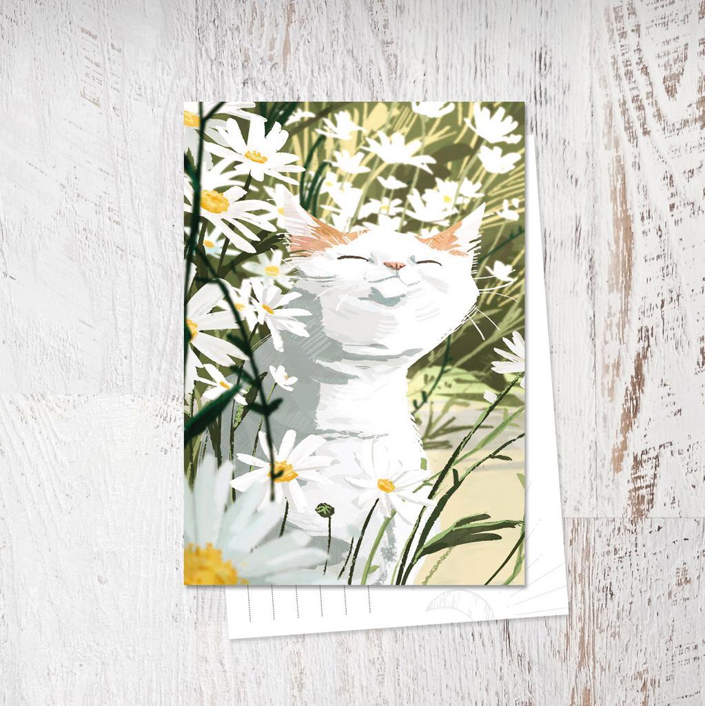 «В ромашках»