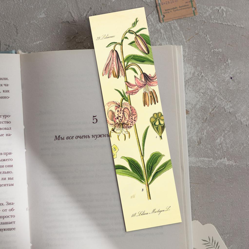 Книжная закладка «Лилия кудреватая»